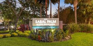 Sabal Palm at Lake Buena Vista Gallery 31