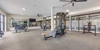 Adler Montford Park Gallery 56