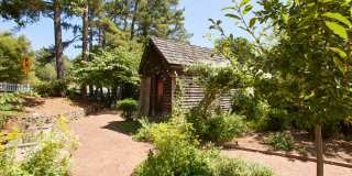 Juniper Sandy Springs Gallery 6