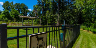 Summer Lake Gallery 9