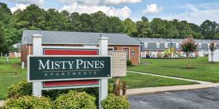 Misty Pines Gallery 12