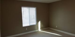 3412 LACEBARK PINE Street Gallery 22
