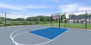 West Shire Village Gallery 40