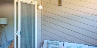 Super fun remodeled Apartment Gallery 5