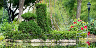 Residences at Topiary Park Gallery 53