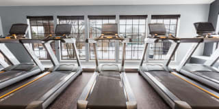 TGM Willowbrook Gallery 20