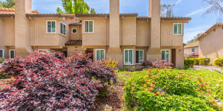 Southwood Townhomes Gallery 1
