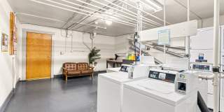 Forestry Court Gallery 23