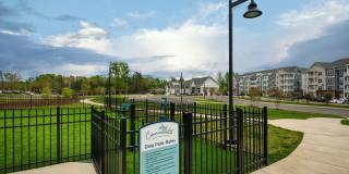 Commonwealth apartments Gallery 25