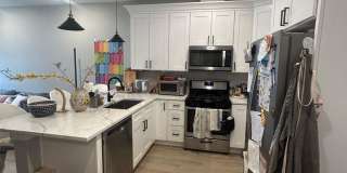 3118 North Greenview Ave. Gallery 10