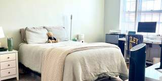NO BROKER FEE | Sunny 2 Bed Brownstone with In-Unit Laundry | Brookline Gallery 3