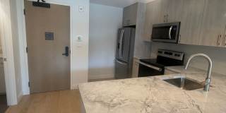 Beautiful Apartment in Allston Gallery 3
