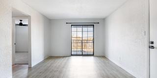Johnson Med Center Gallery 16