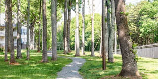 Hickory Woods Gallery 35