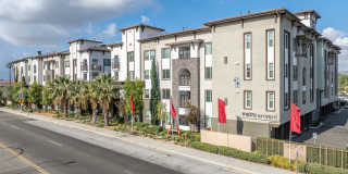 Metro Gateway Gallery 41