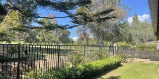 4328 Forest Oaks Drive Gallery 20