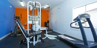 Diamond Vista Gallery 25