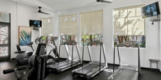 Painted Trails Gallery 8