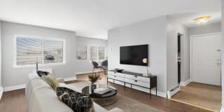 Carolina Village Gallery 32