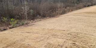 Newer Build in Senoia's South Ridge, 4BR, 2.5 BA Newer Build in Senoia's South Ridge, 4BR, 2.5 BA Gallery 38