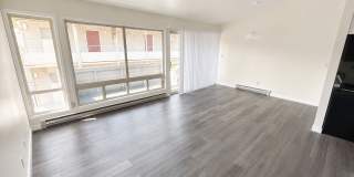 Bright 1 Bed / 1 Bath Apartment for Rent in North Seattle Private Balcony, Near Green Lake & Northgate! Bright 1 Bed / 1 Bath Apartment for Rent in North Seattle Private Balcony, Near Green Lake & Northgate! Gallery 1