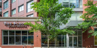 The Scholar The Scholar Gallery 15