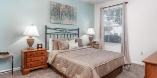 Eastwood Village Gallery 39