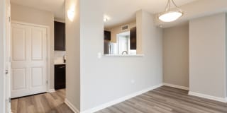 AMLI at Seven Bridges Gallery 5