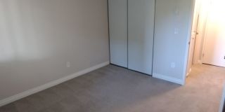 Chelan Gallery 47