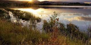 Fox Ridge Apartments Gallery 30