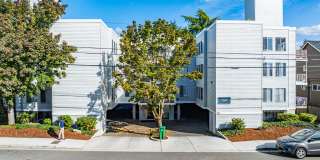 Olympic View Apartments Gallery 3