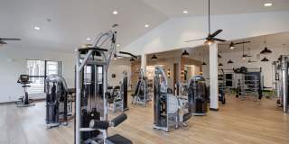 IMT Cornerstar Ranch Gallery 12