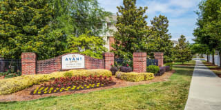 Avant at Steele Creek Gallery 22