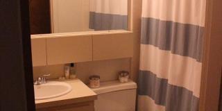 16 Upland Rd. Gallery 6