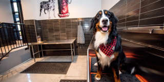 Slate at NoMa Gallery 21