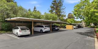 2386 Balme Dr Gallery 13
