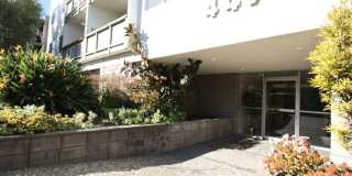 1p174 - 447 Orange Street 1p174 - 447 Orange Street Gallery 1