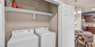 Wiregrass at Stone Oak Gallery 19