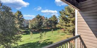 Columbia Glade Gallery 20