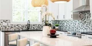 173 Brush Creek Court Gallery 19