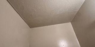 2-Bedroom Unit Available at NURSERY AVE 2-Bedroom Unit Available at NURSERY AVE Gallery 30