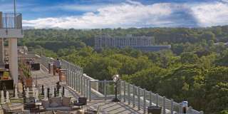 Willard Towers Gallery 18