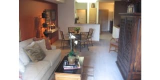 Sidney Sidney Gallery 5