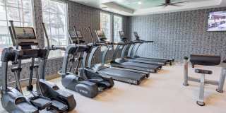 Bayswater Gallery 20