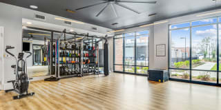 The Everly Gallery 5