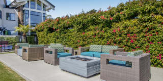 Harbor Point Waterfront Apartments Gallery 31