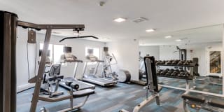 White Pines Gallery 41