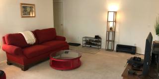 2 Bedroom, 2 Bathroom Centrally Located Condo Gallery 10