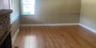 253 Turf Gallery 9