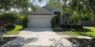 Beautiful 4-Bedroom Home for Rent in Villa Rosa – Lutz, FL Gallery 1